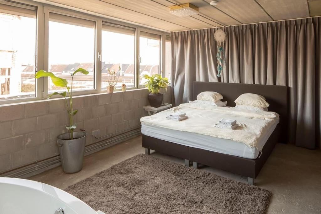 Mari'S: Multifunctional Shelter With Big Garden Villa Gent Buitenkant foto